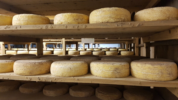 La Ferme Fromagère de Suscinio