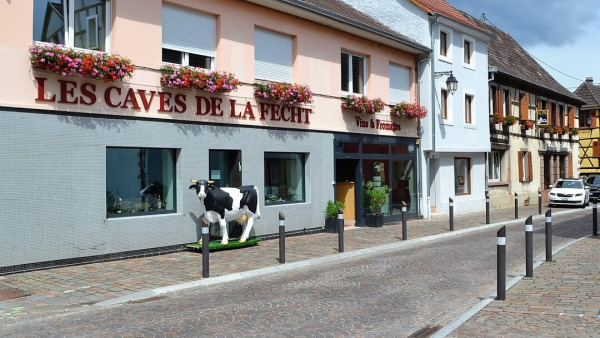 Les Caves de la Fecht - 68920 Wintzenheim